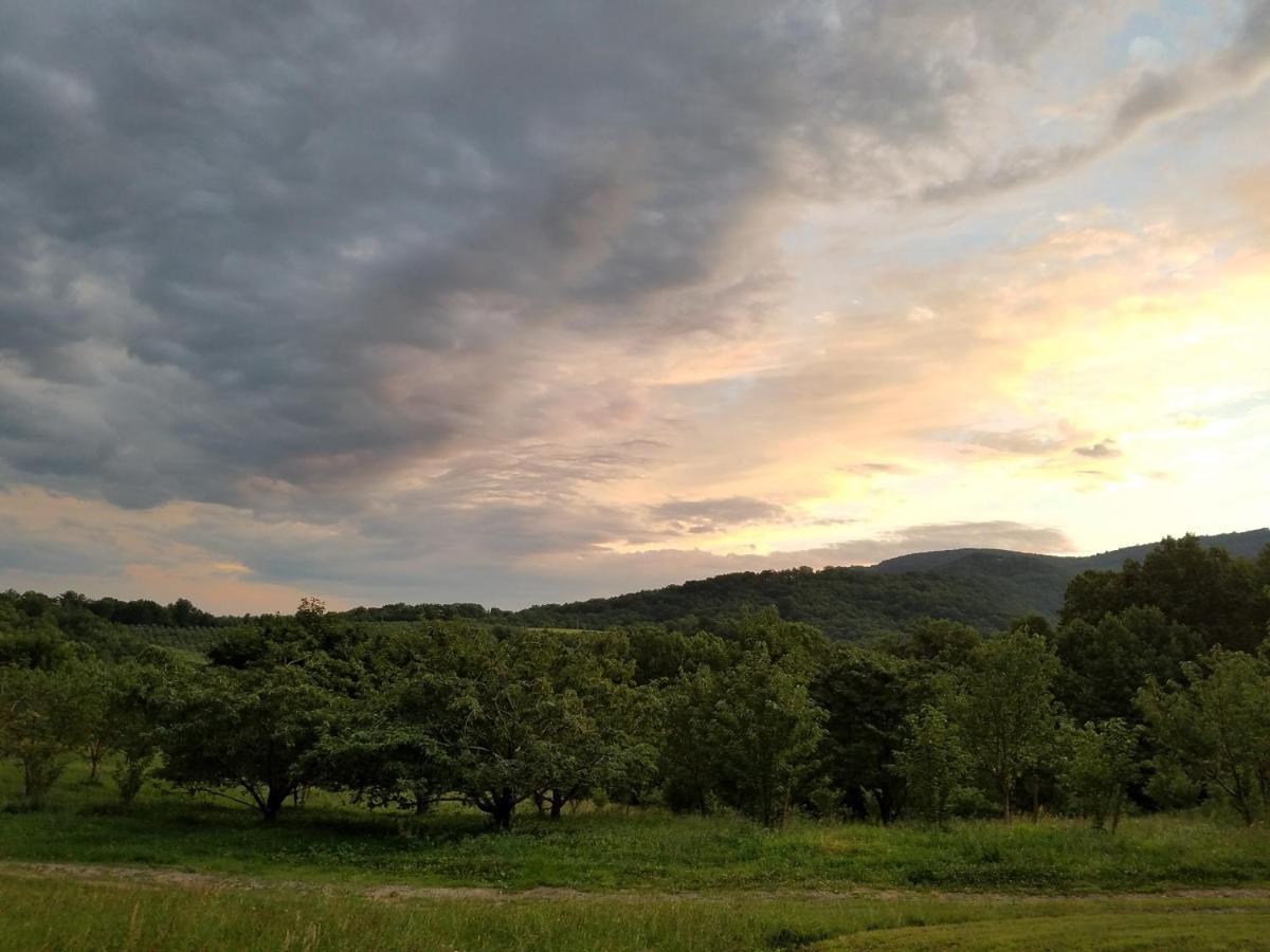 Blue Ridge Manor Bed And Breakfast Fancy Gap Exteriér fotografie